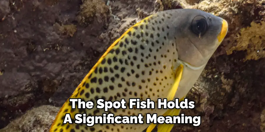 The Spot Fish Holds A Significant Meaning