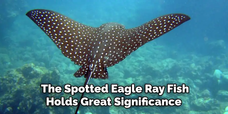 The Spotted Eagle Ray Fish Holds Great Significance