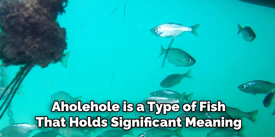 Aholehole is a Type of Fish That Holds Significant Meaning