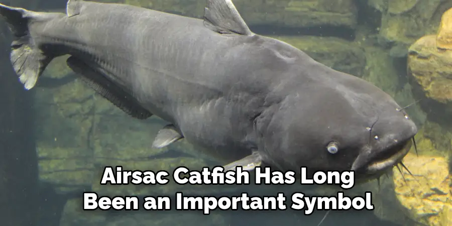 Airsac Catfish Has Long Been an Important Symbol