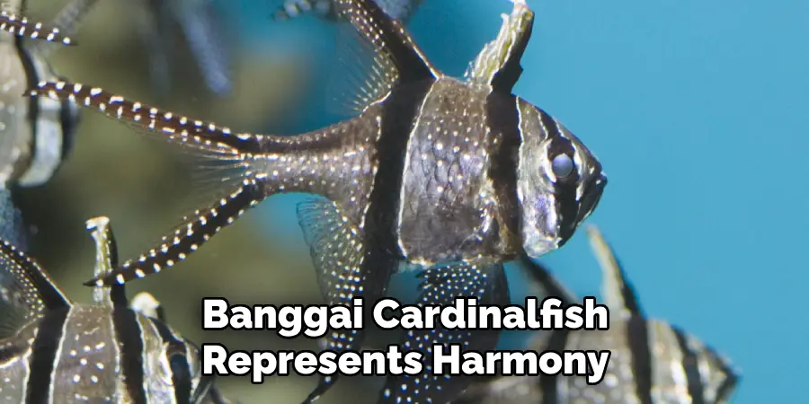 Banggai Cardinalfish Represents Harmony