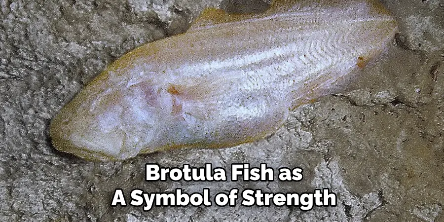 Brotula Fish as A Symbol of Strength