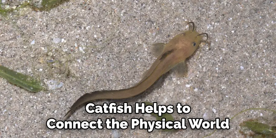 Catfish Helps to Connect the Physical World