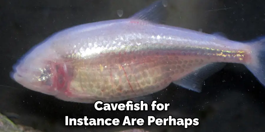 Cavefish, for Instance, Are Perhaps