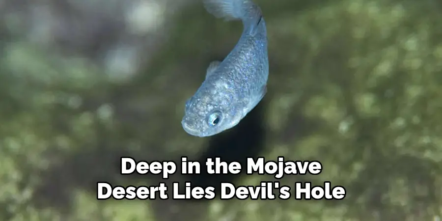 Deep in the Mojave Desert Lies Devil's Hole