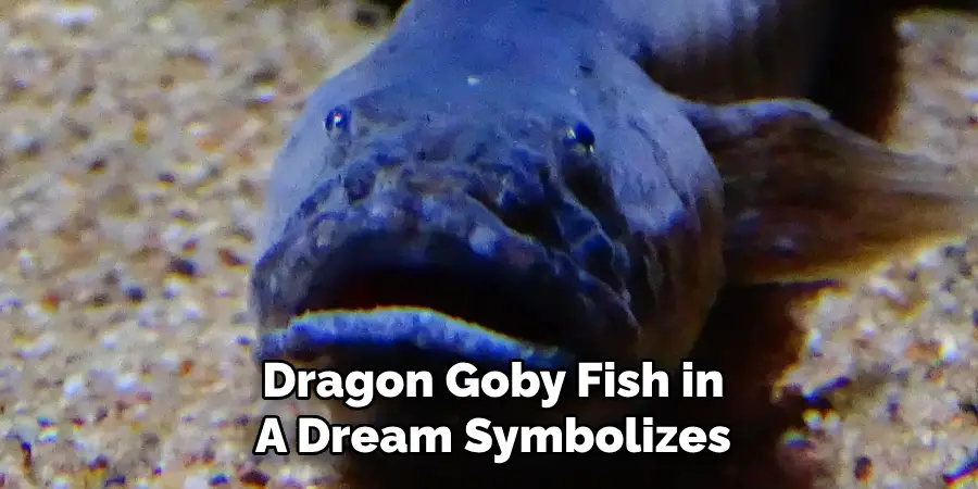 Dragon Goby Fish in A Dream Symbolizes