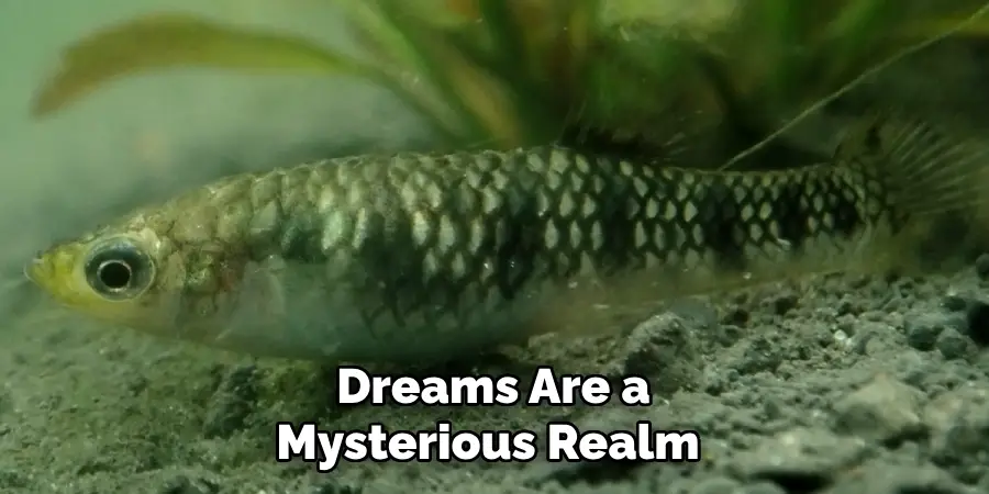 Dreams Are a Mysterious Realm