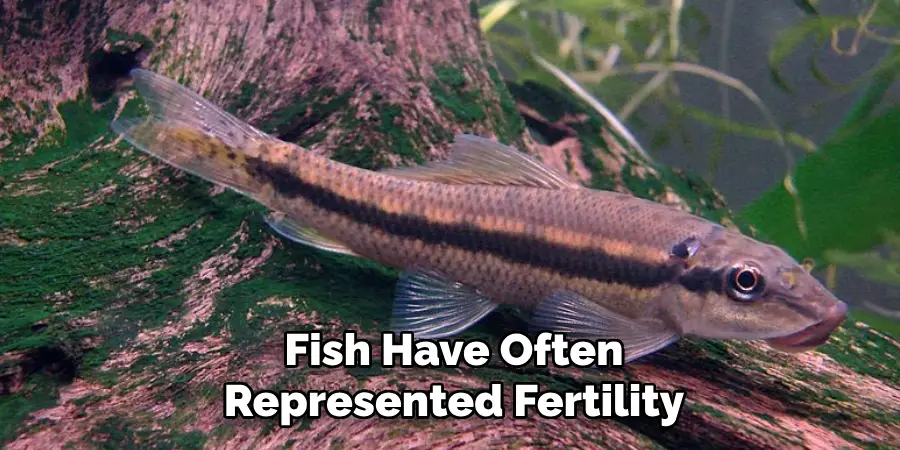 Fish Have Often Represented Fertility