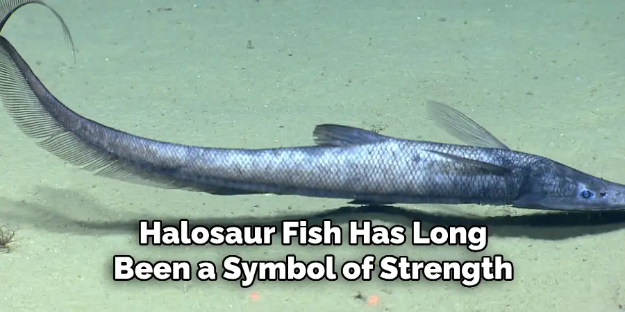 Halosaur Fish Has Long Been a Symbol of Strength