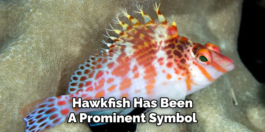 Hawkfish Has Been A Prominent Symbol