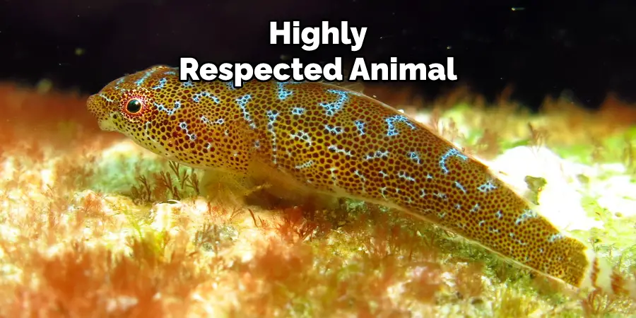 Highly Respected Animal