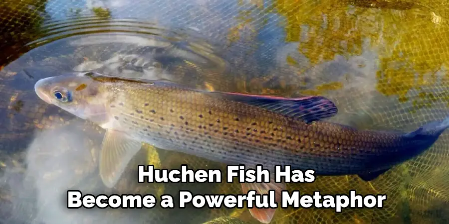 Huchen Fish Has Become a Powerful Metaphor