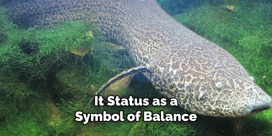 It Status as a Symbol of Balance