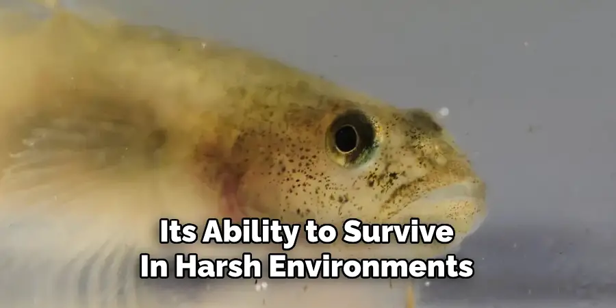 Its Ability to Survive In Harsh Environments