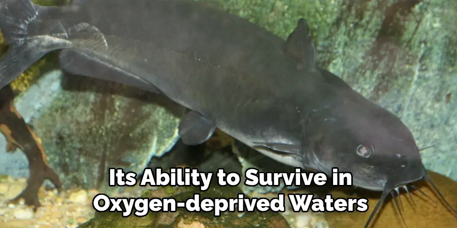 Its Ability to Survive in Oxygen-deprived Waters