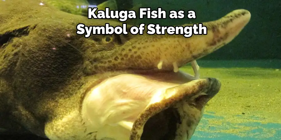 Kaluga Fish as a Symbol of Strength