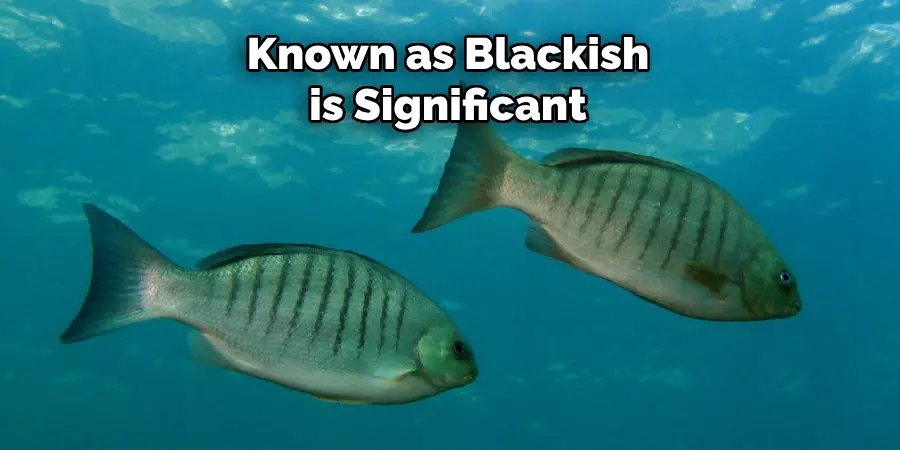 Known as Blackish is Significant