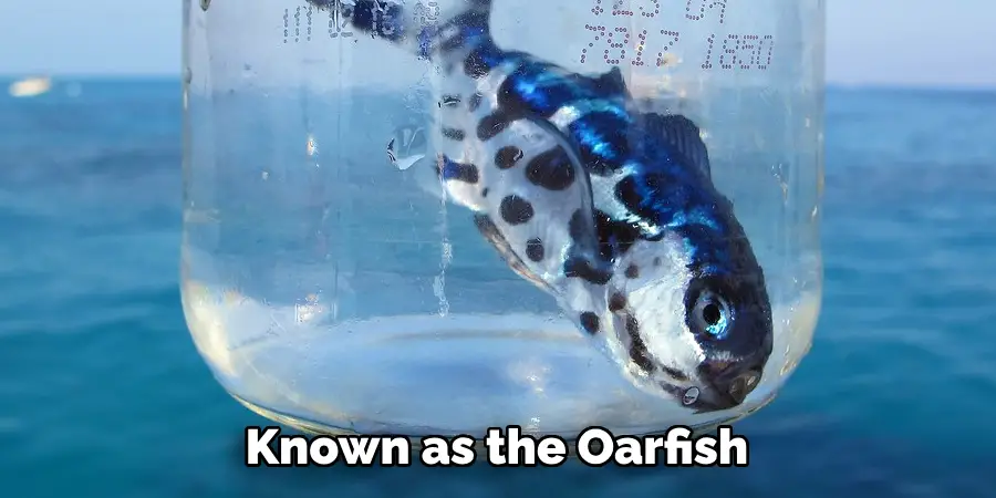 Known as the Oarfish