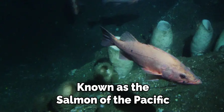 Known as the Salmon of the Pacific