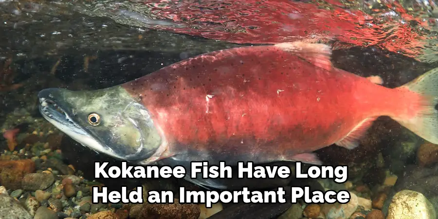 Kokanee Fish Have Long Held an Important Place