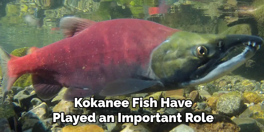 Kokanee Fish Have Played an Important Role