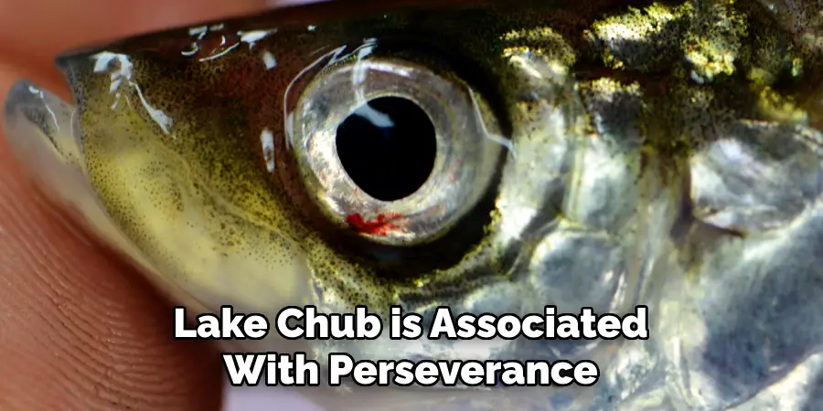 Lake Chub is Associated With Perseverance