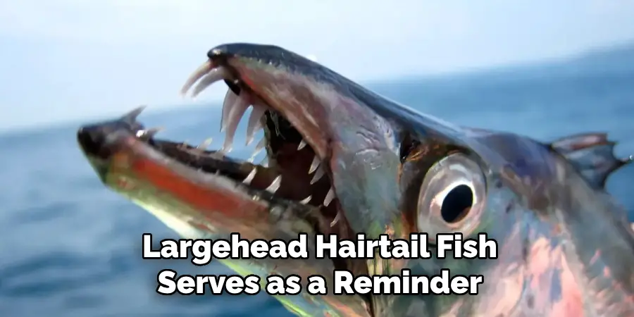 Largehead Hairtail Fish Serves as a Reminder