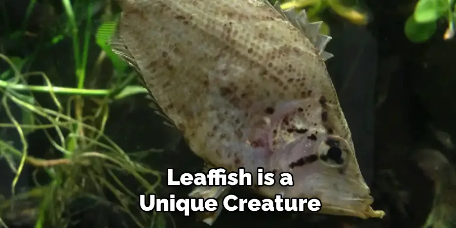 Leaffish is a Unique Creature