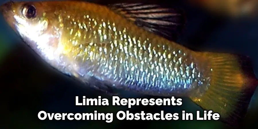 Limia Represents Overcoming Obstacles in Life