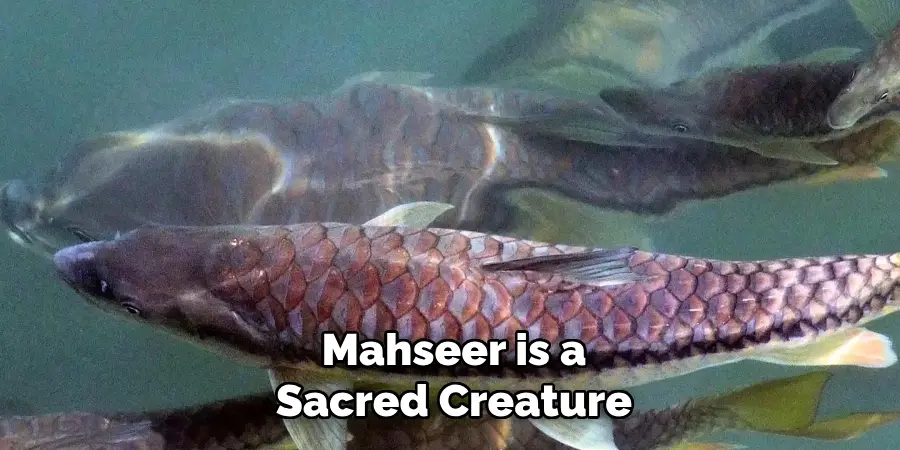 Mahseer is a Sacred Creature