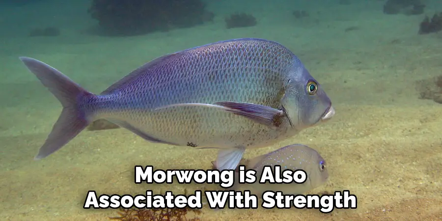 Morwong is Also Associated With Strength