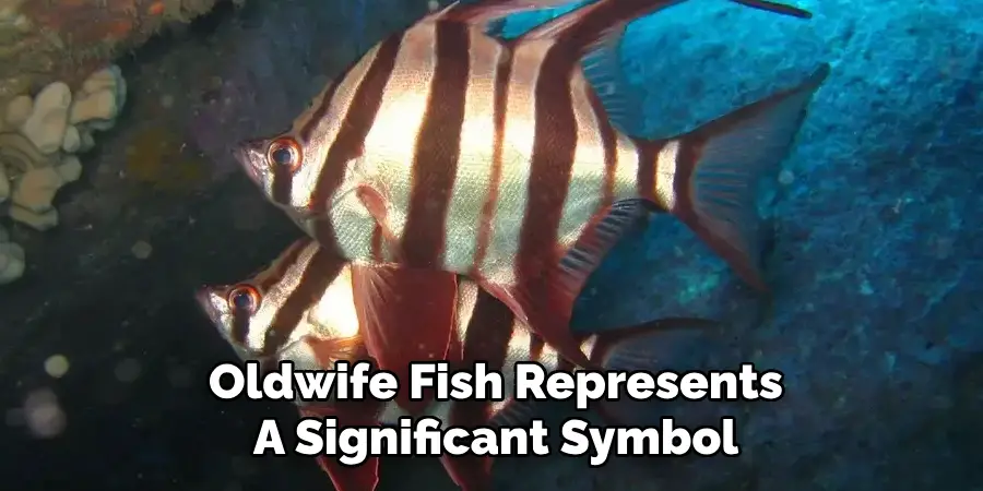 Oldwife Fish Represents A Significant Symbol