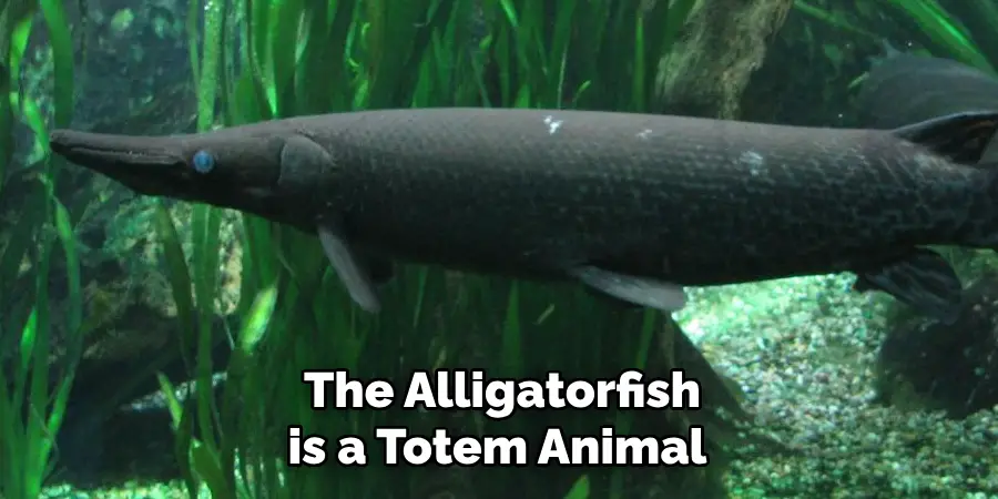 The Alligatorfish is a Totem Animal