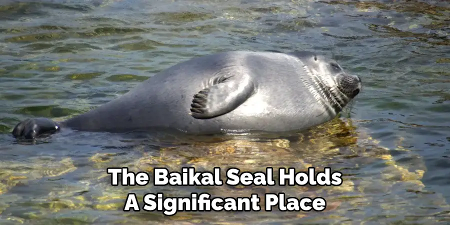 The Baikal Seal Holds A Significant Place