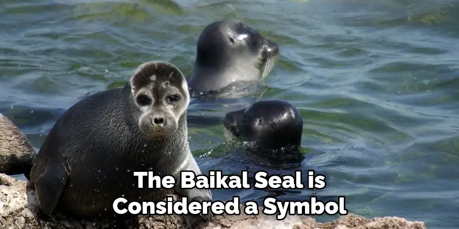 The Baikal Seal is Considered a Symbol