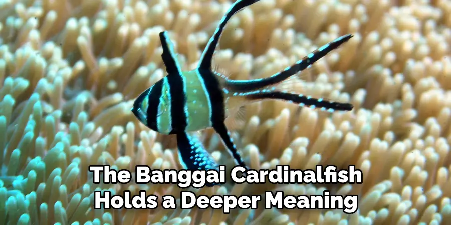 The Banggai Cardinalfish Holds a Deeper Meaning