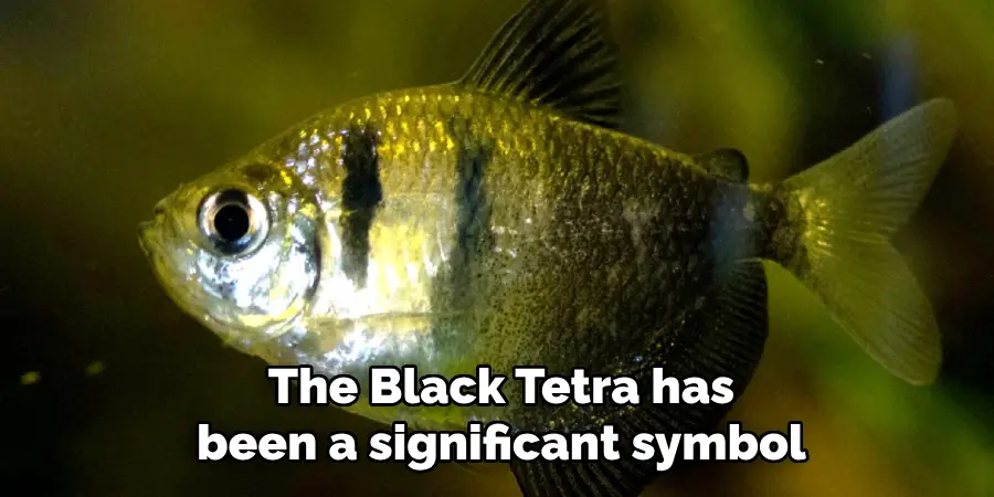 The Black Tetra has been a significant symbol