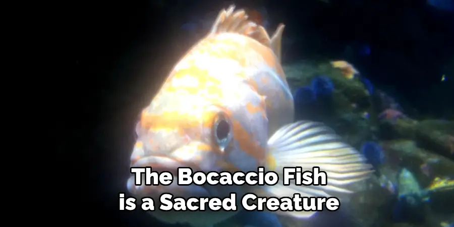 The Bocaccio Fish is a Sacred Creature