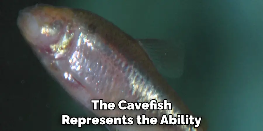 The Cavefish Represents the Ability