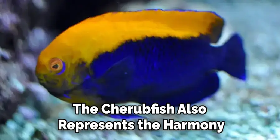 The Cherubfish Also Represents the Harmony