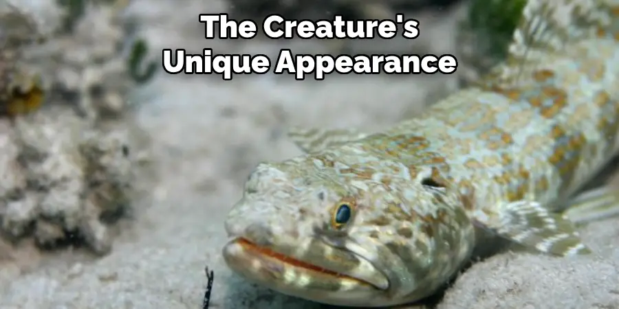 The Creature's Unique Appearance