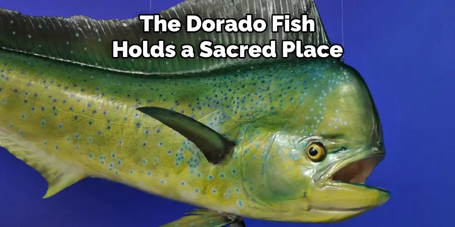 The Dorado Fish Holds a Sacred Place