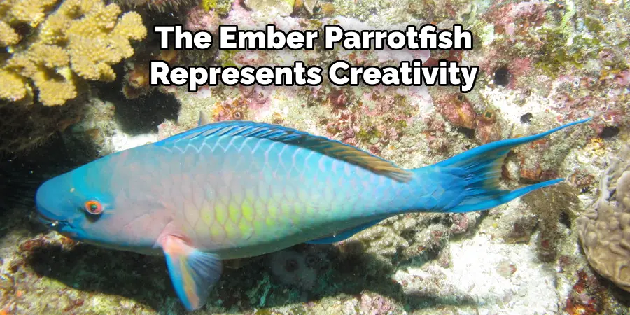 Ember Parrotfish Represents Creativity