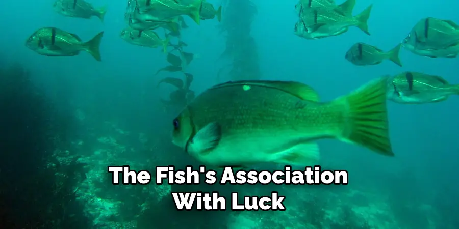 The Fish's Association With Luck