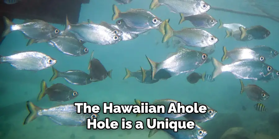 The Hawaiian Ahole Hole is a Unique