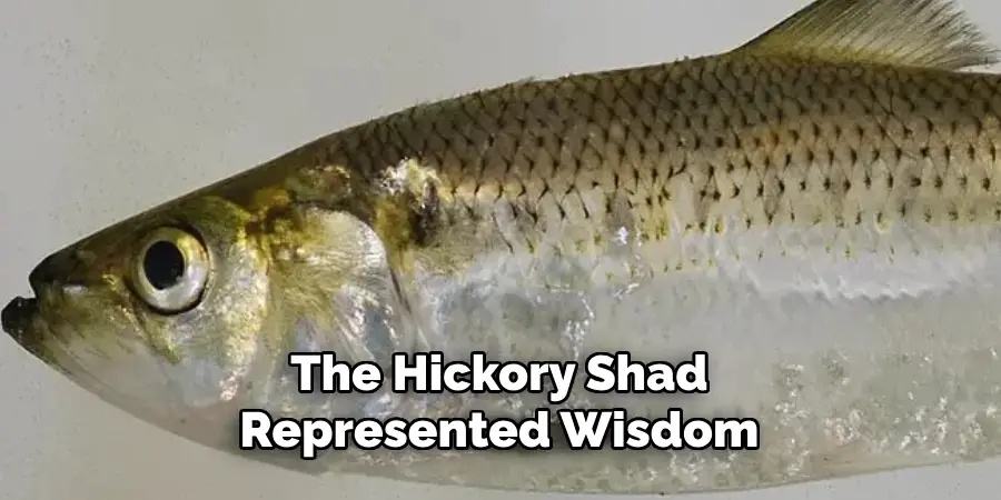 The Hickory Shad Represented Wisdom