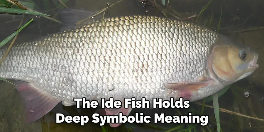 The Ide Fish Holds Deep Symbolic Meaning