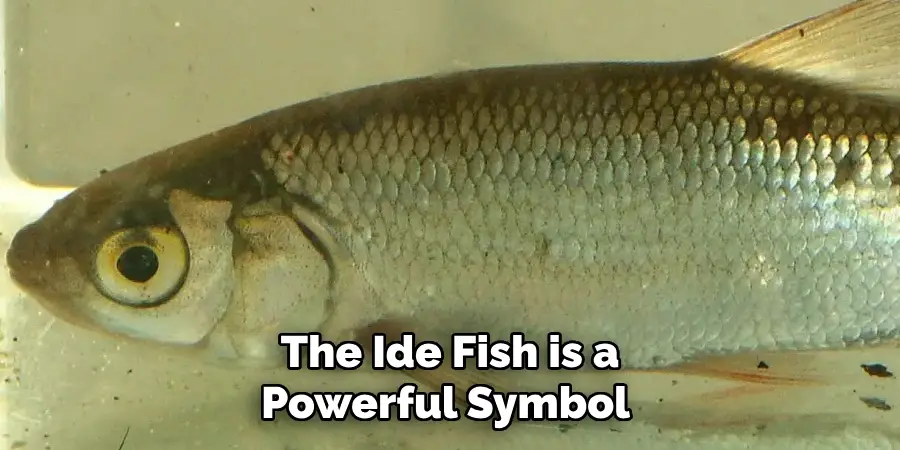 The Ide Fish is a Powerful Symbol