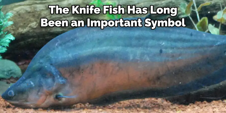 The Knife Fish Has Long Been an Important Symbol