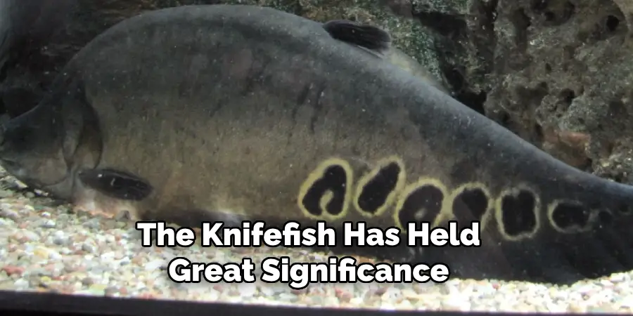 The Knifefish Has Held Great Significance